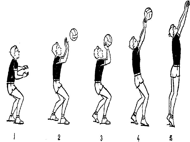 Подача мяча двумя руками снизу