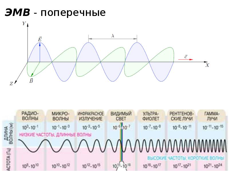 Электромагнитные волны с максимальной частотой. Поперечная электромагнитная волна. Частота электромагнитных волн. Поперечные ЭМВ.