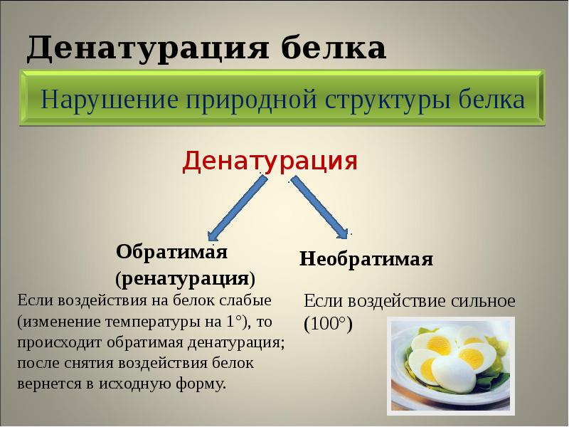 Проект денатурация белка 10 класс