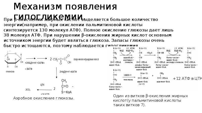 Нарушение окисления жирных кислот