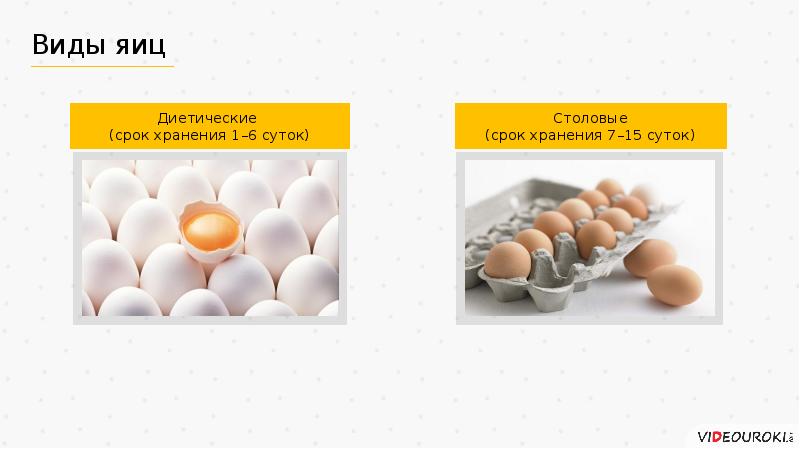 Яйца и яичные продукты презентация