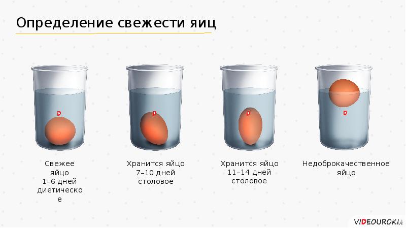 Свежесть яиц. Определение свежести яиц. Способы определения свежести яиц. Способы определения доброкачественных яиц. Таблица свежести яиц.