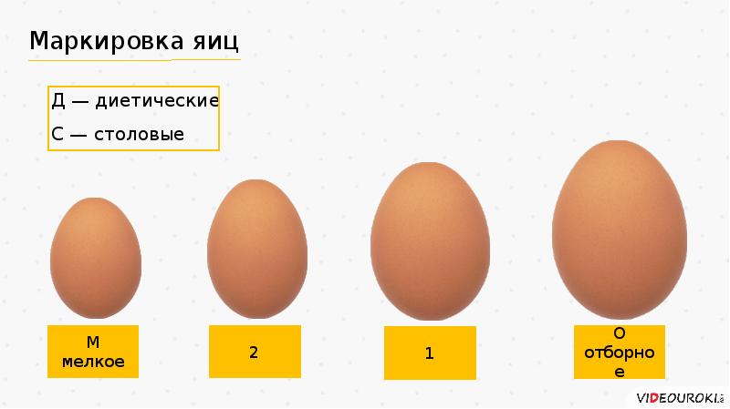 Презентация технология приготовления блюд из яиц 5 класс фгос