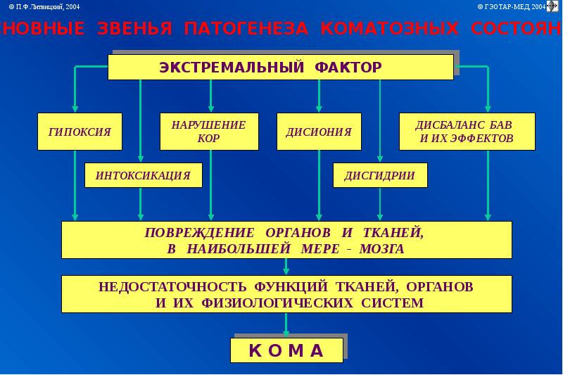 Презентация экстремальные состояния основы патологии