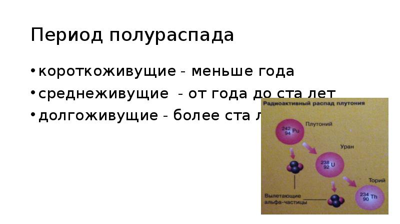 Чем меньше период полураспада тем быстрее. Период полураспада элементов. Самый маленький период полураспада. Период полураспада веществ. Период полураспада углерода 14.