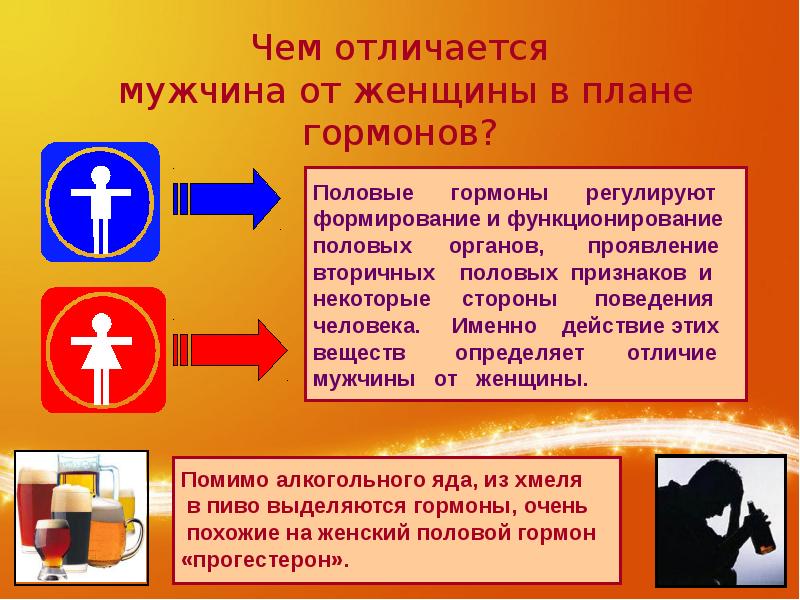 Горькая правда о горьком пиве проект