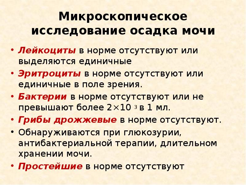 Микроскопия осадка