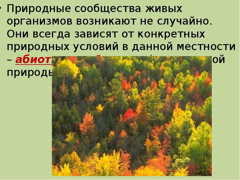 Понятие о природном сообществе 6 класс биология презентация