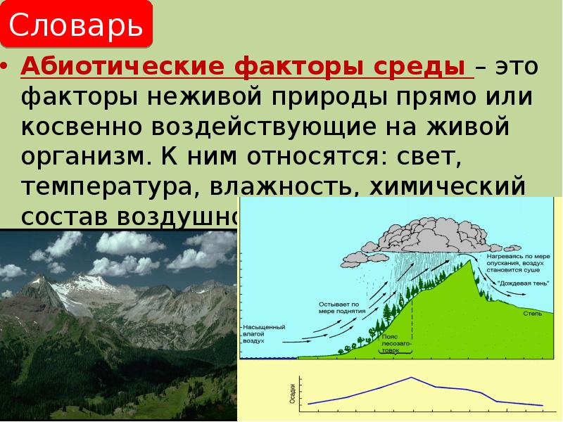 Абиотические факторы фото