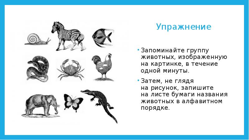 Не затем даны. Выучить группы животных. Укажи название животного изображённого на рисунке. Упражнение запомни и Нарисуй животные. Выбери название животного изображённого на рисунке.