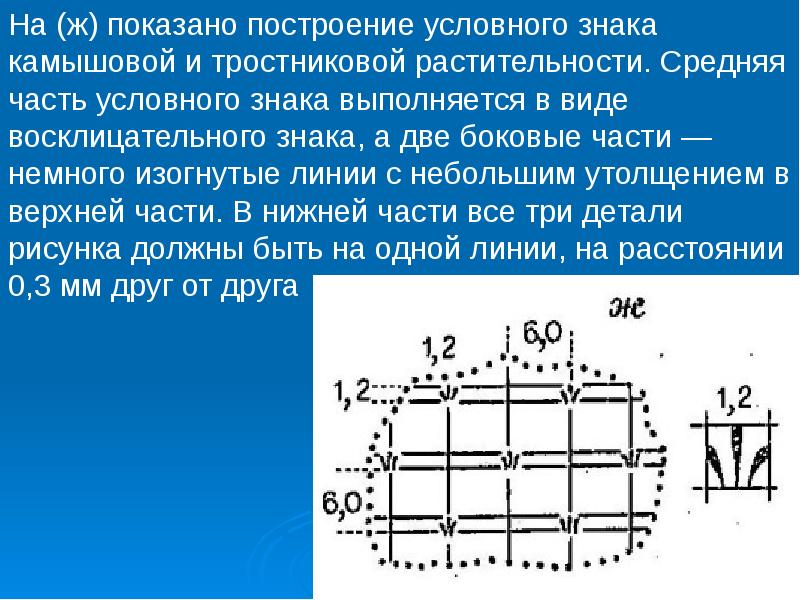 Топографические чертежи презентация