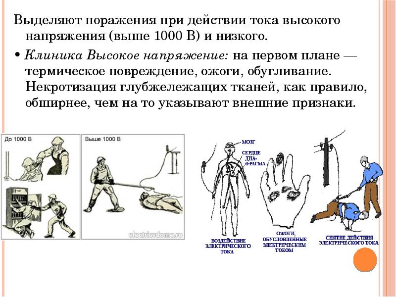 Презентация на тему первая помощь при утоплении обж 8 класс