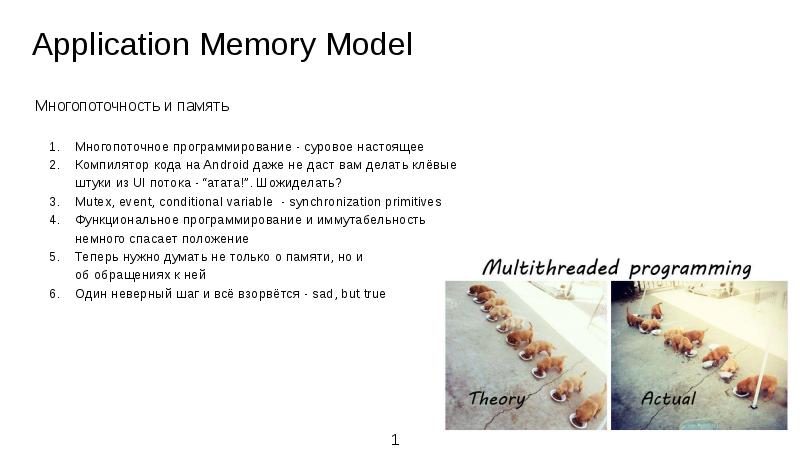Application Memory Model