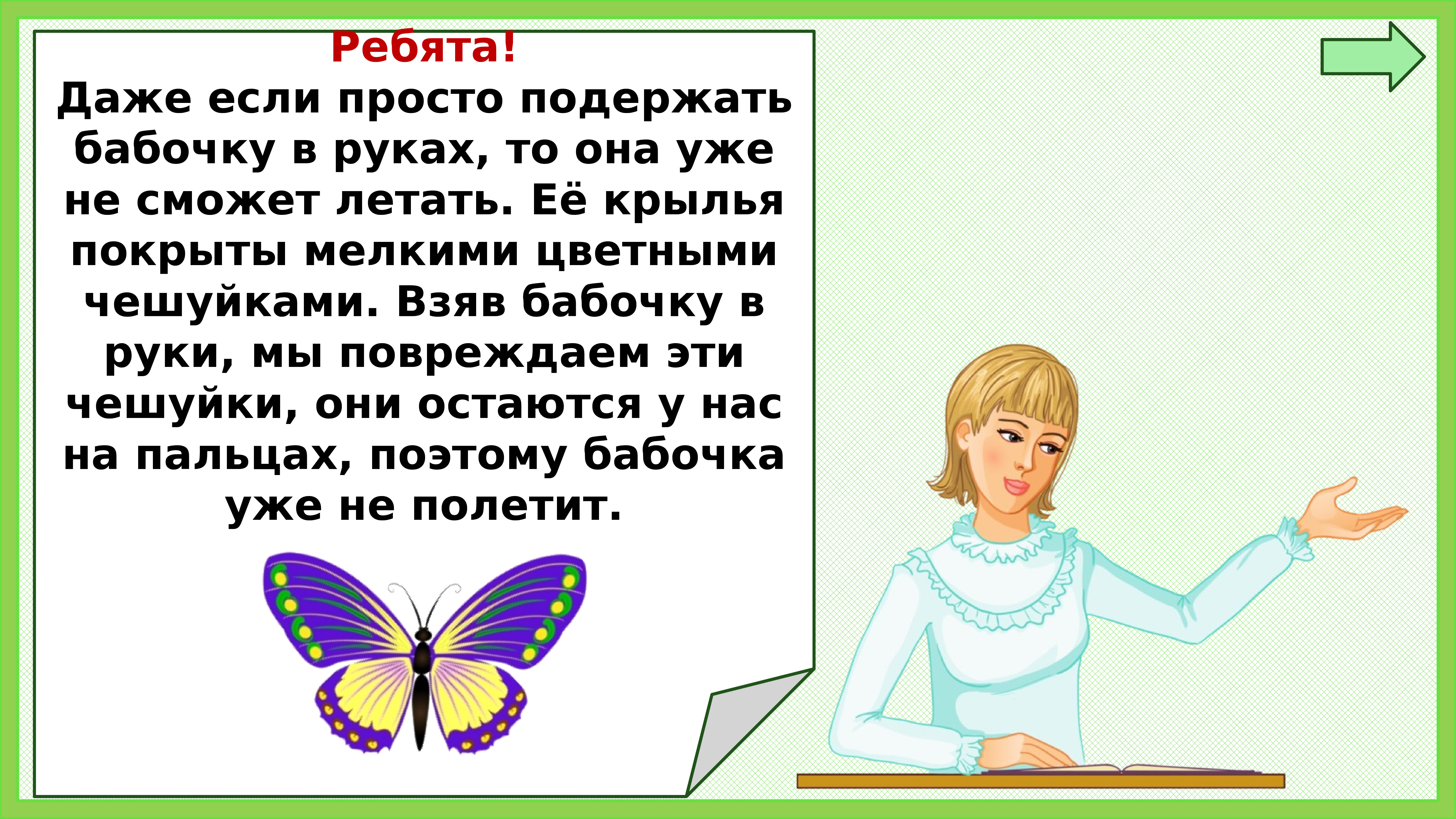 Презентация 1 класс почему не будем рвать цветы и ловить бабочек 1 класс