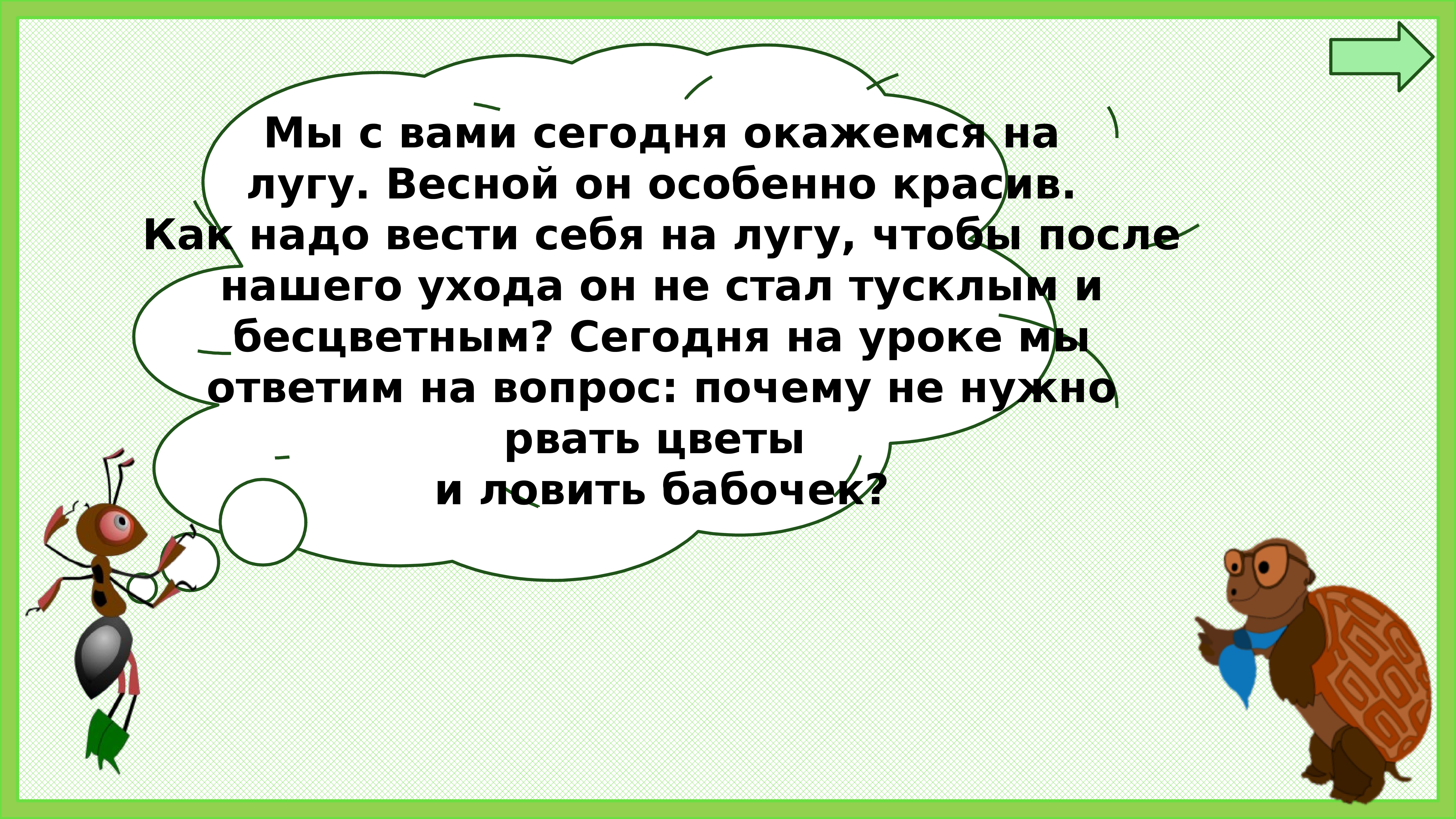 Почему нельзя рвать цветы и ловить бабочек презентация 1 класс