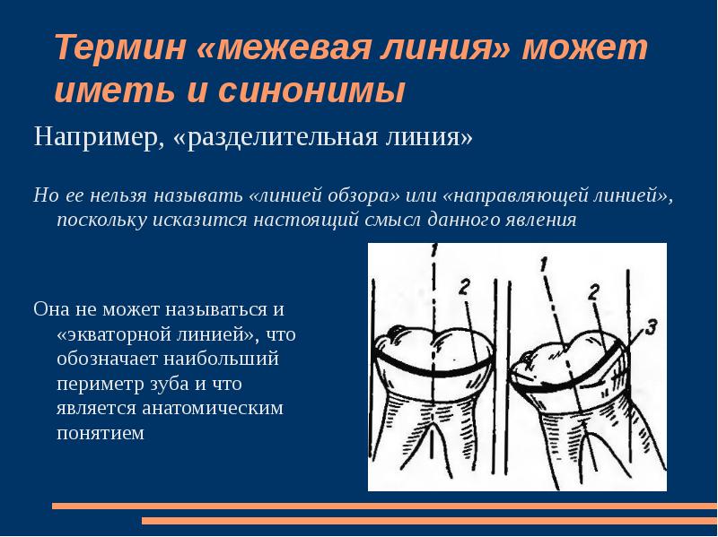 Линия термин. Межевая линия в стоматологии. Межевая линия зуба это. Линия обзора стоматология. Расположение Межевой линии.