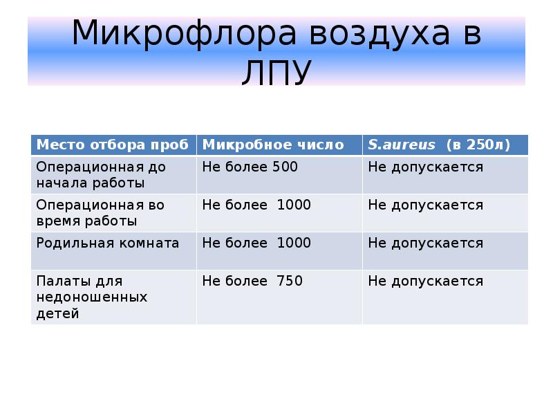 Проект микрофлора воздуха