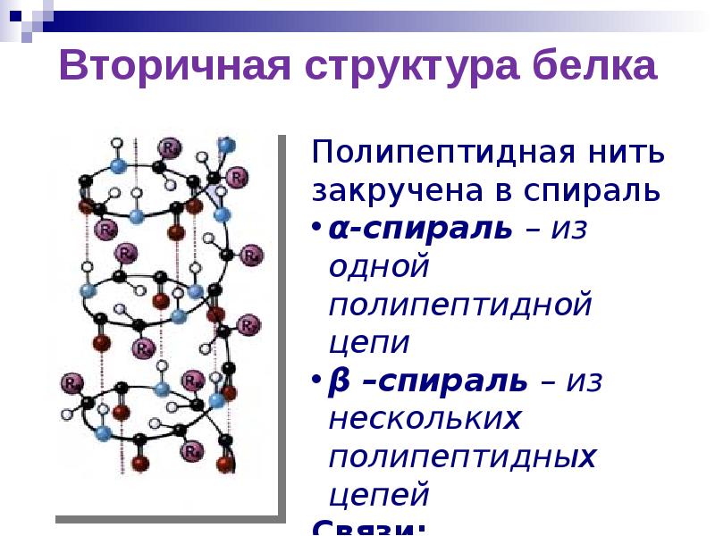 4 структуры белка