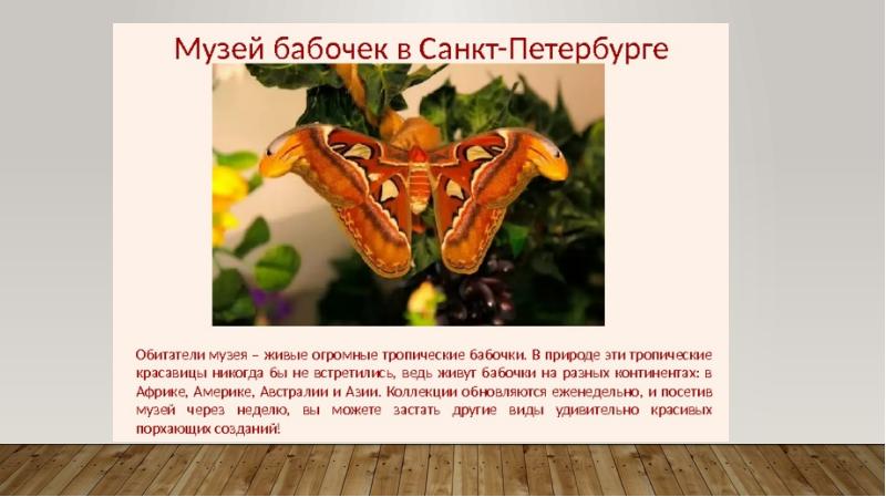 Необычные музеи мира презентация 3 класс