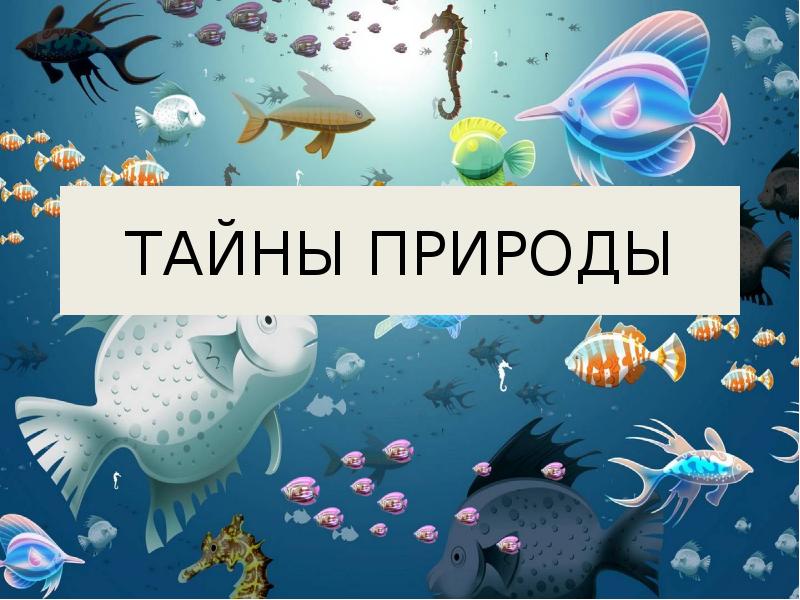 Секреты природы. Как изучают тайны природы?. Тайна для презентации. Мастер класс тайны природы.