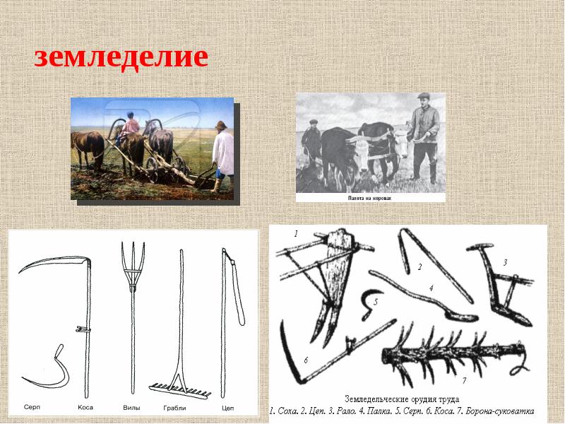 Заполни схему земледелие окружающий мир 3 класс ответы