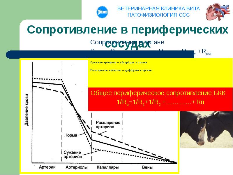 Повышенное периферическое сопротивление. Периферическое сосудистое сопротивление. Общее периферическое сосудистое сопротивление норма. Индекс периферического сопротивления сосудов. Повышение периферического сосудистого сопротивления.