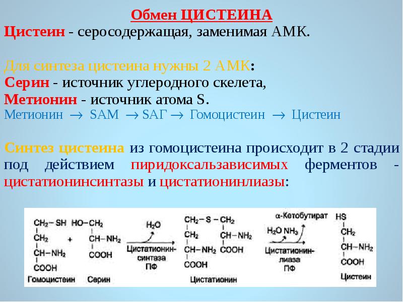 Какая из следующих круговых диаграмм показывает распределение масс элементов в молекуле цистеина 6