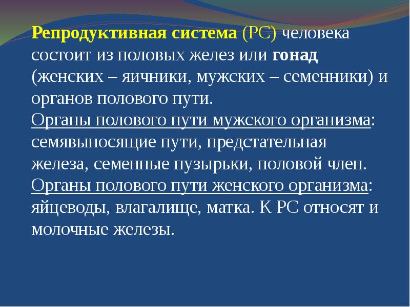 Репродуктивная система человека 8 класс биология презентация