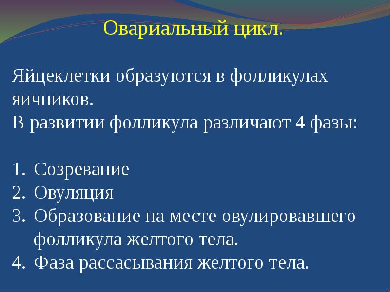 Репродуктивная система презентация