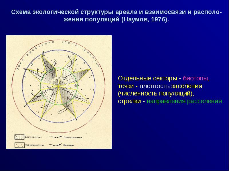 Типы ареалов схема