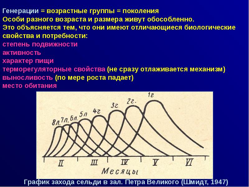 Поколений особей. Биологические механизмы разных особей. Состав популяции Львов. Каждая популяция имеет четко очерченные границы. Какие токи могут проходить через биосистемы?.