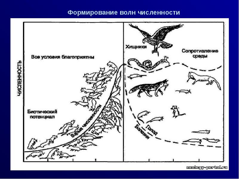 Охрана видов и популяций 11 кл презентация