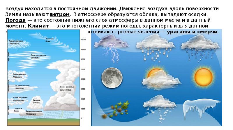 Проект по географии 6 класс биосфера