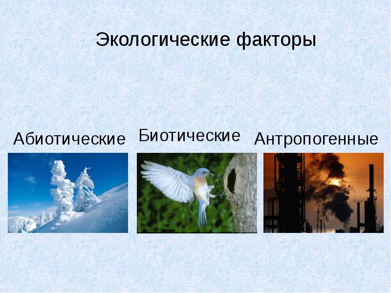 Условия жизни на земле среды жизни и экологические факторы 9 класс презентация пономарева