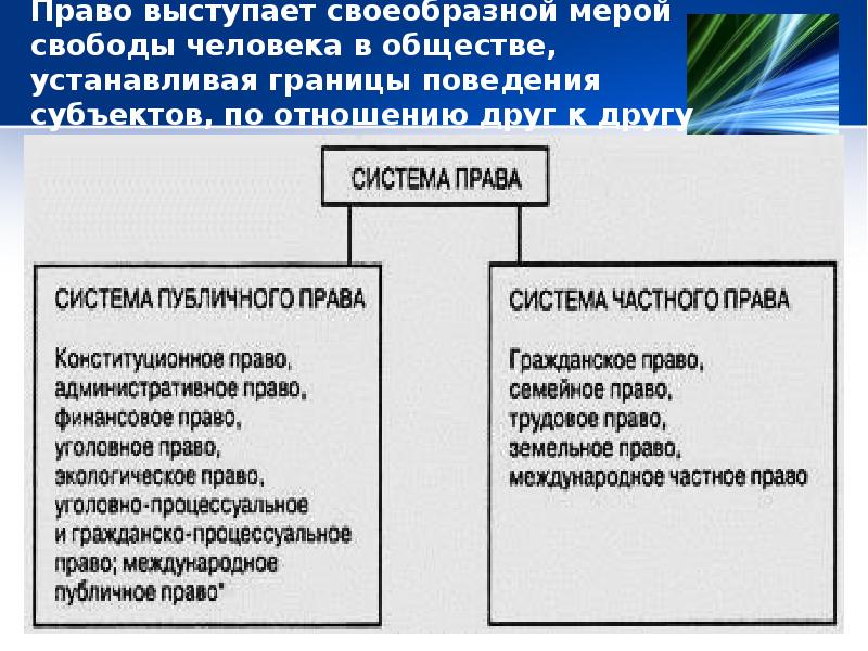 Свобода поведения. Границы свободы человека. Границы свободы поведения. Границы свободы человека в обществе. Закон устанавливает границы свободы поведения.