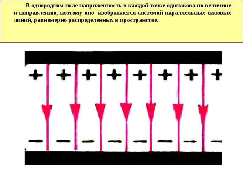 Электростатические поля презентация