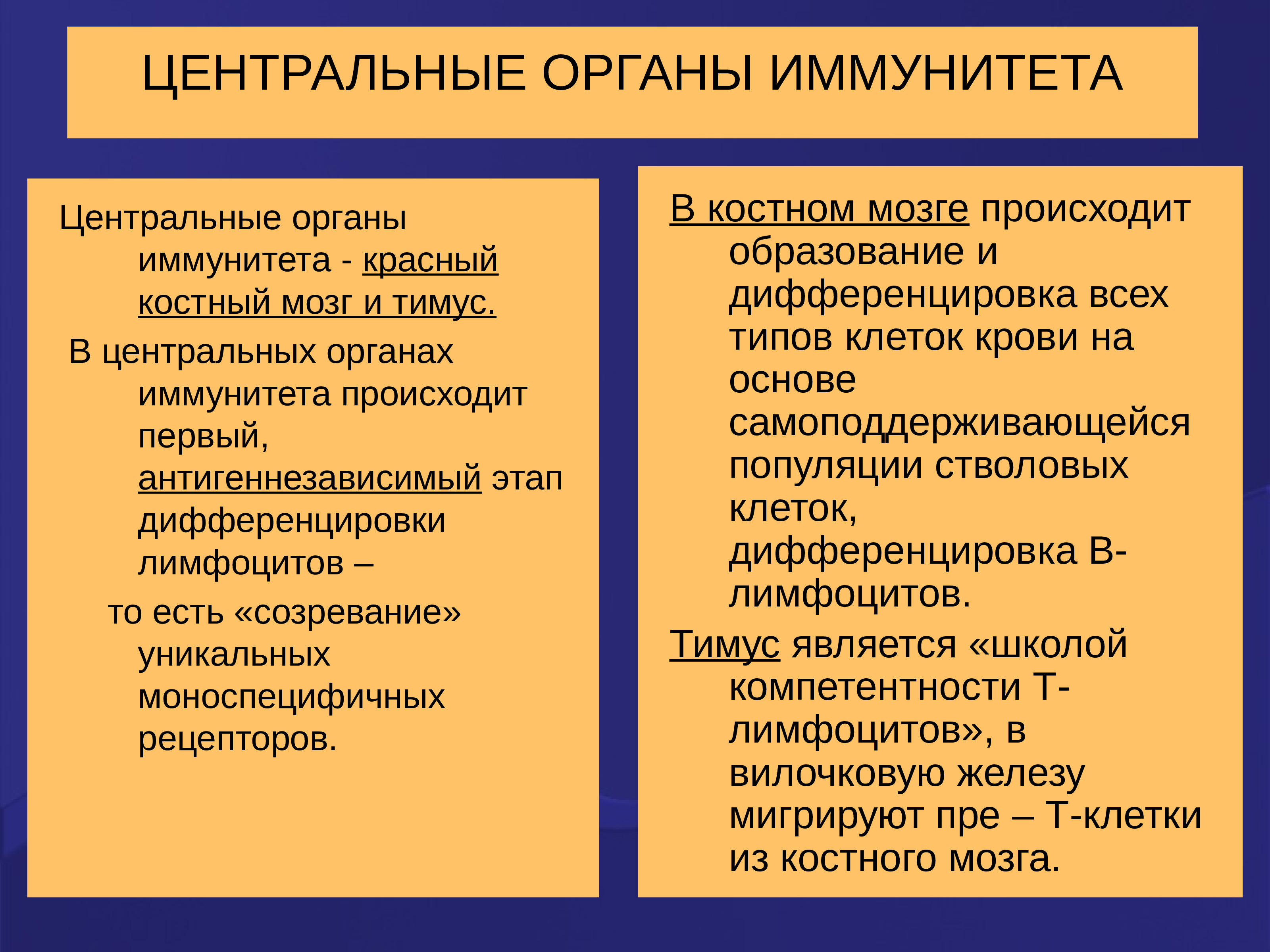 Центральные органы. Центральные и периферические органы иммунитета. Иммунитет центральные и периферические органы иммунной системы. В центральных органах иммунной системы происходит. Различия центральных и периферических органов иммунной системы.