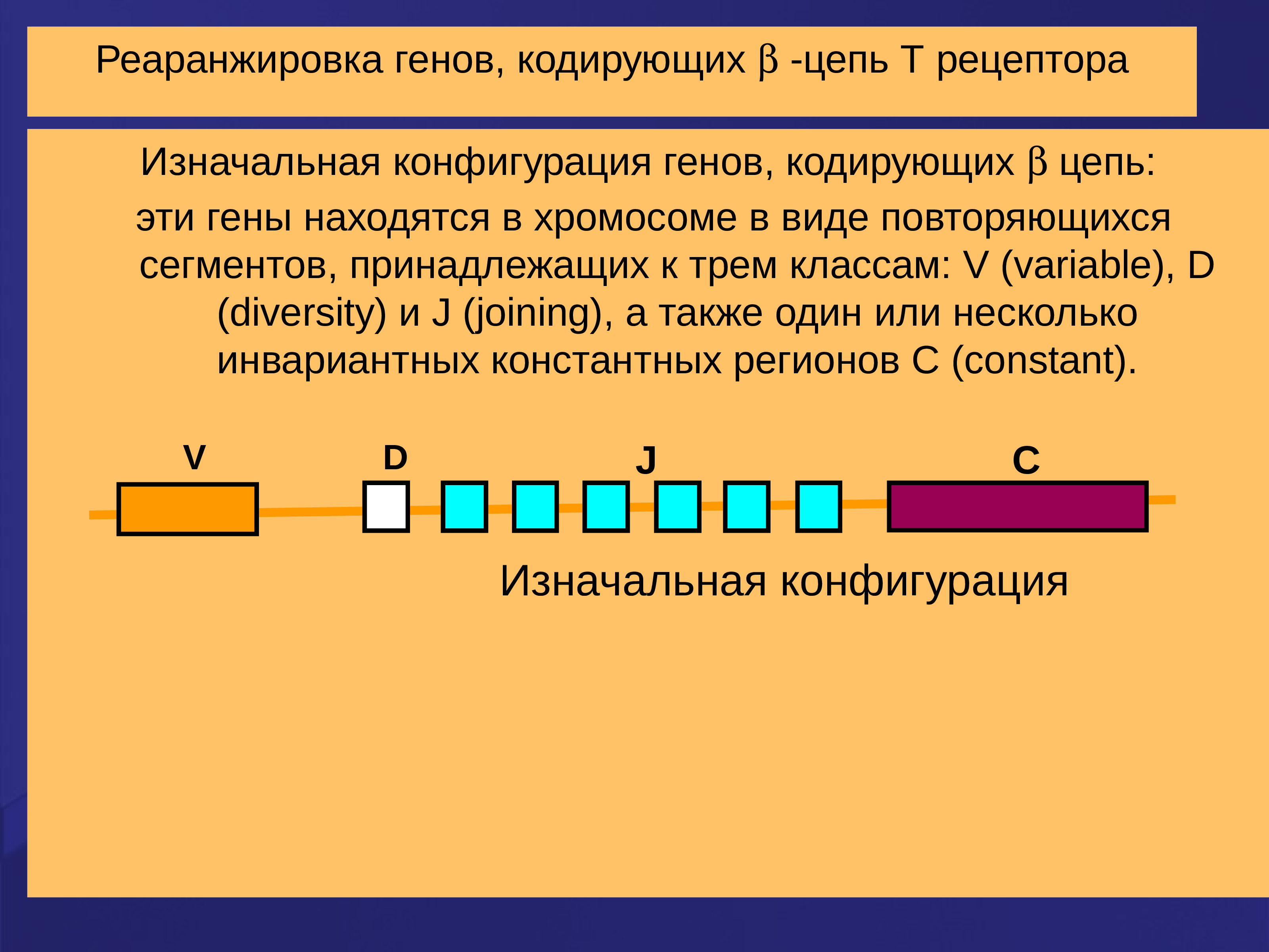 Кодирующая цепь гена. Нарисуйте схему перестройки генов, кодирующих в клеточный Рецептор.. Схема перестройки генов кодирующих b клеточный Рецептор. Кодирующая цепочка Гена. Генетика формирования т и в-клеточных рецепторов.