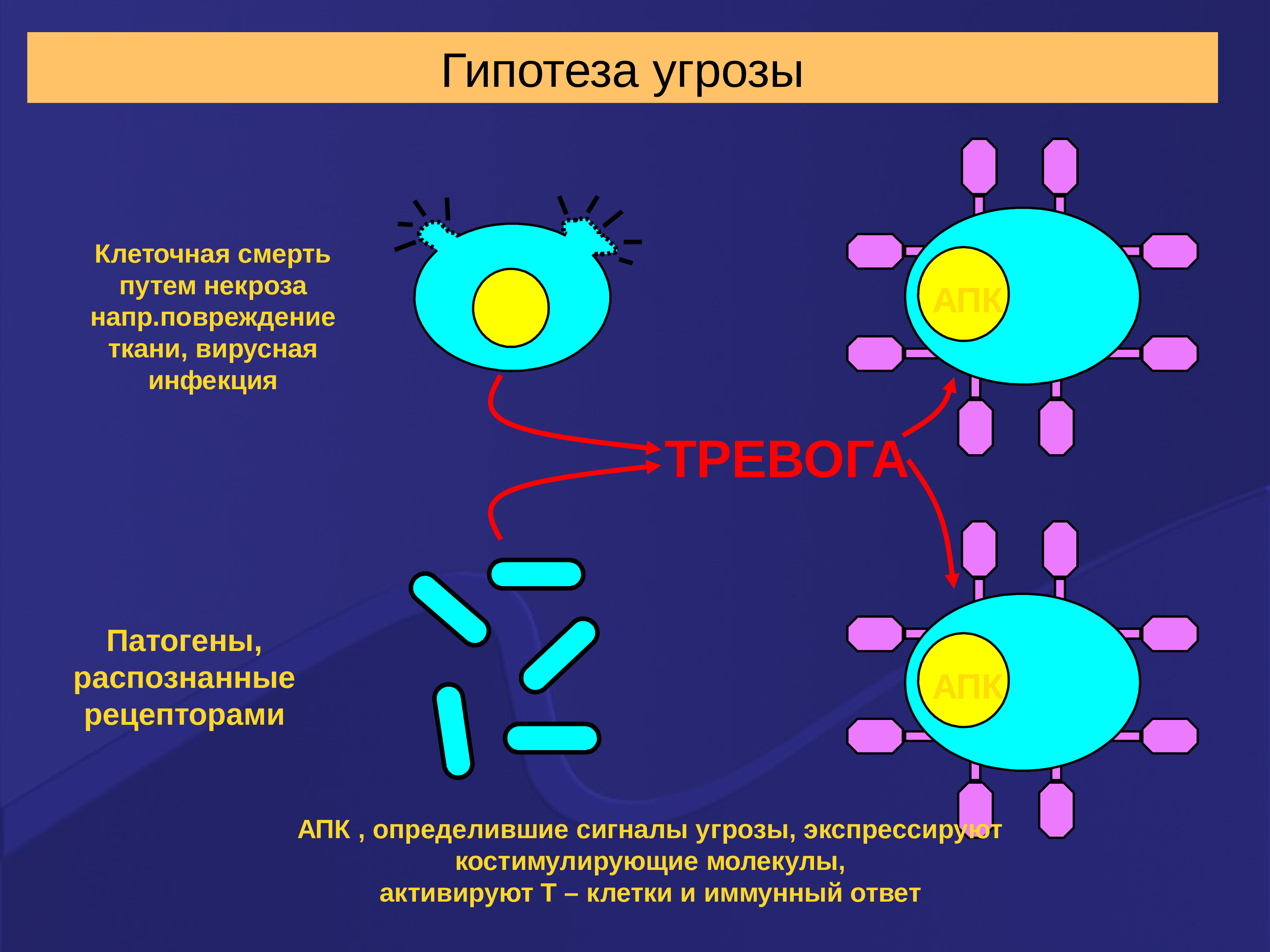 Иммунопоэз это