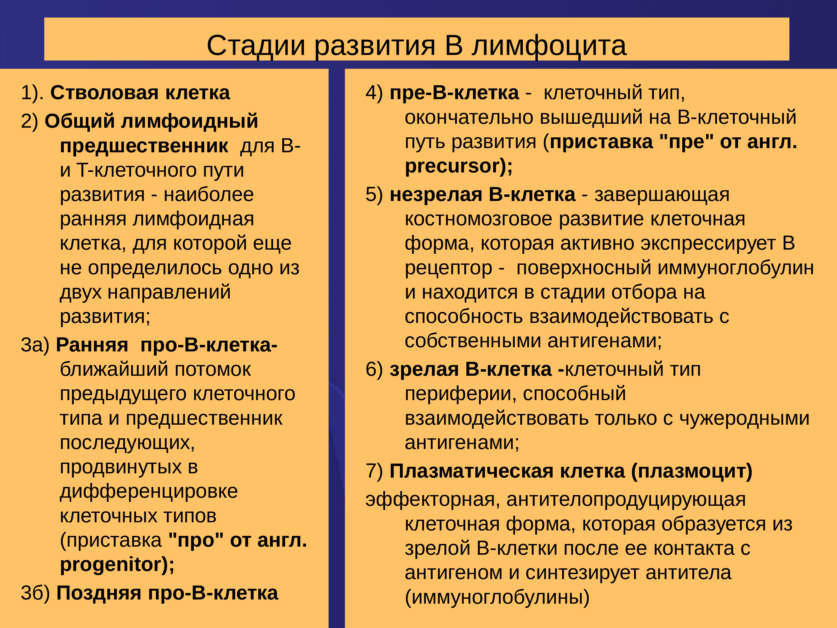 Т развитие. Стадии развития лимфоцитов. Этапы дифференцировки в лимфоцитов. Этапы развития т лимфоцитов. Этапы созревания в лимфоцитов.