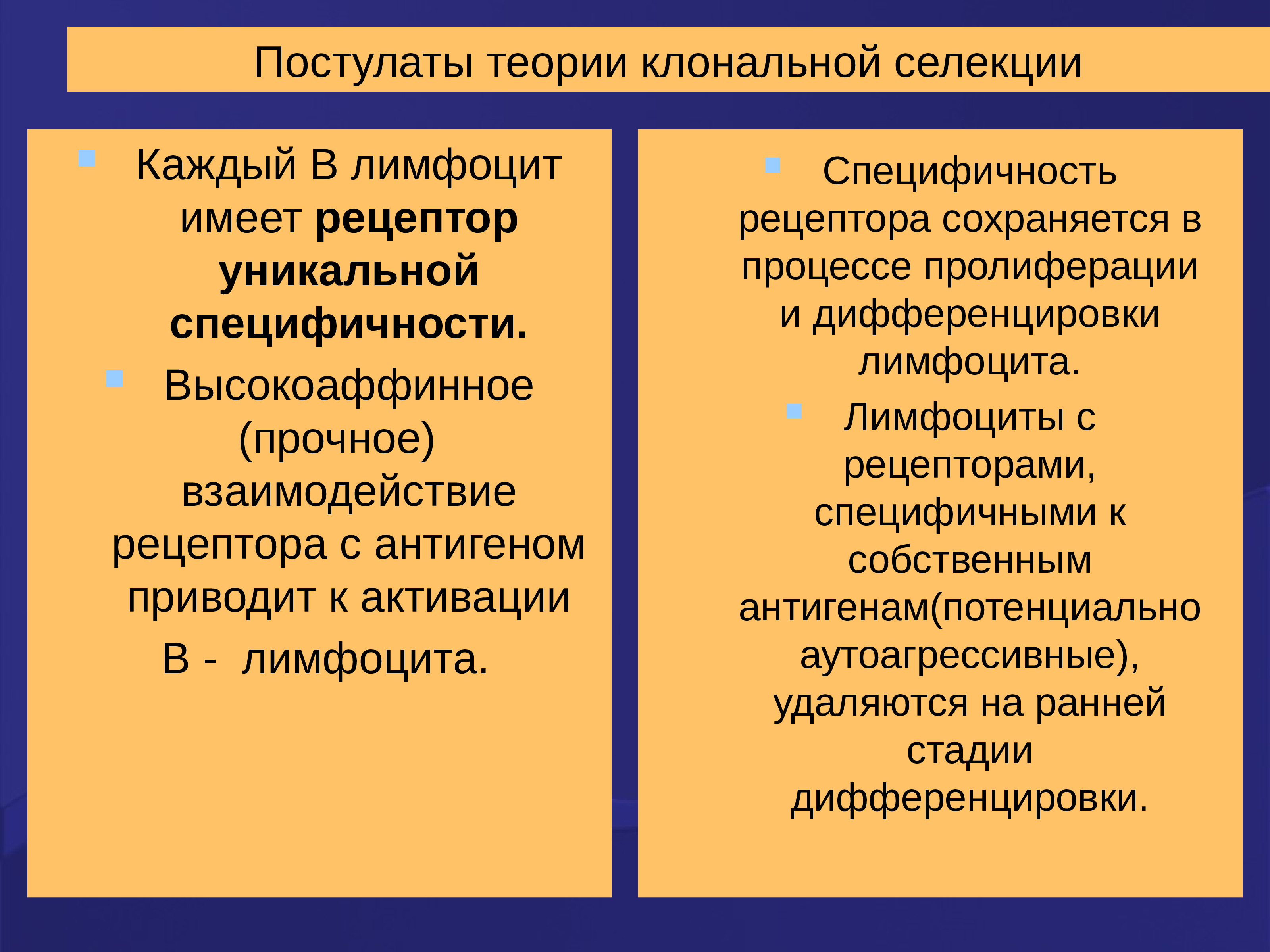 Клонально селекционная теория иммунитета. Теория клональной селекции. Клональная селекция в-лимфоцитов. Бернер теория клональной селекции. Иммунопоэз.