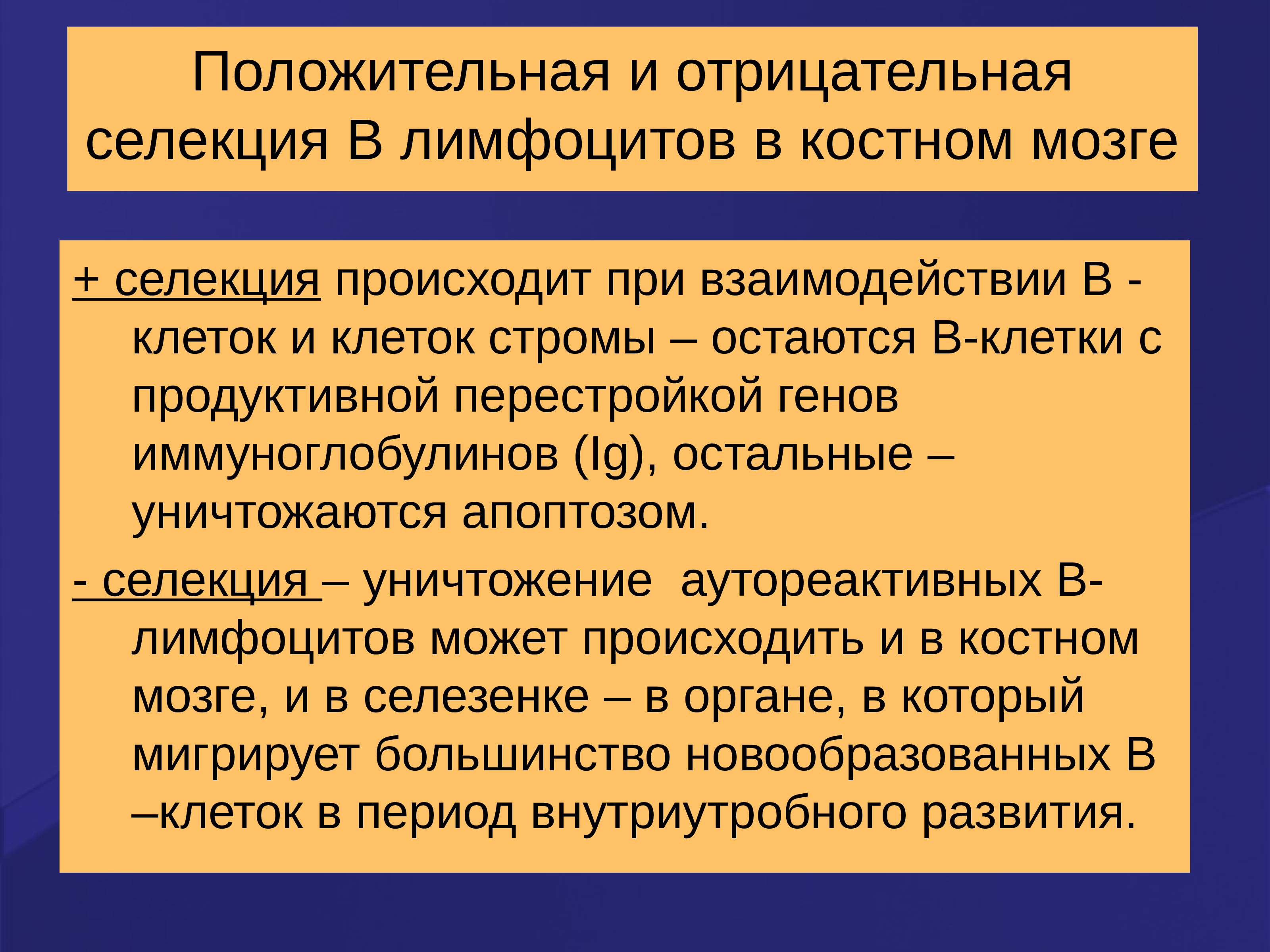 Слекции. Негативная селекция т-лимфоцитов. Отрицательная селекция т лимфоцитов. Отрицательный и положительный отбор лимфоцитов. Положительная и отрицательная селекция.