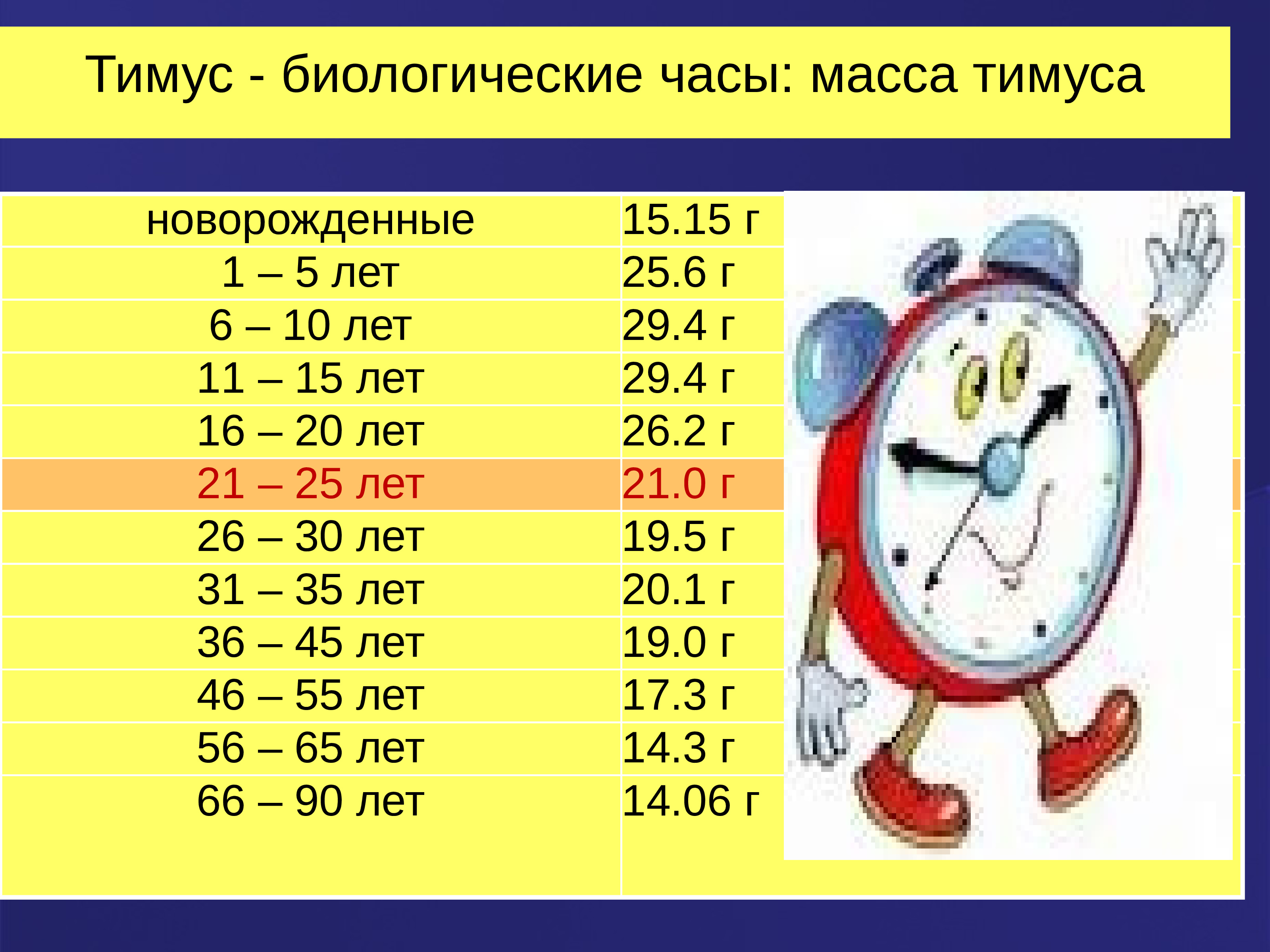 Часы организма. Биологические часы. Биологические часы человека. Расписание биологических часов. Тимус биологические часы.