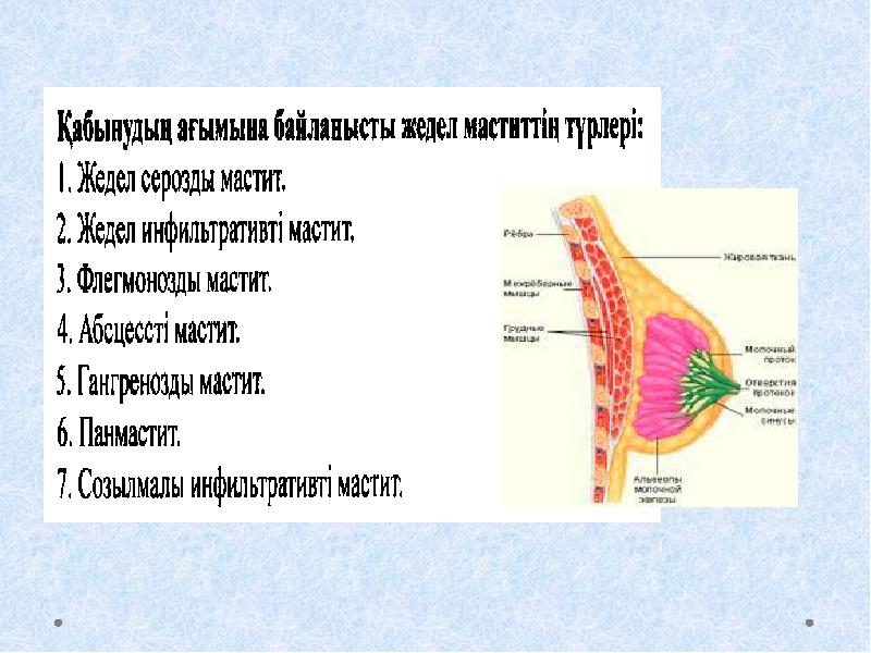 Презентация на тему мастит