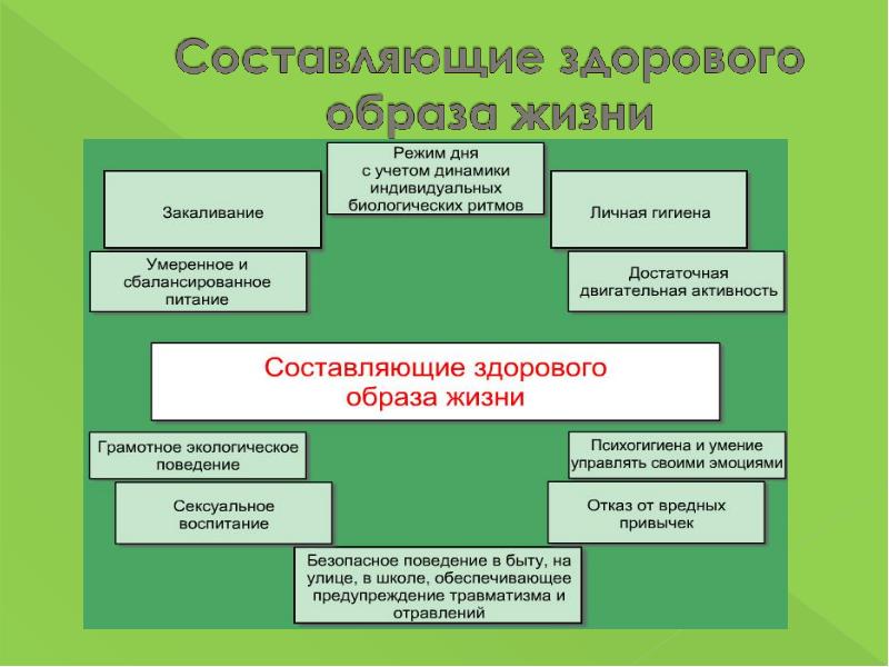 Презентация здоровье человека и безопасность жизни