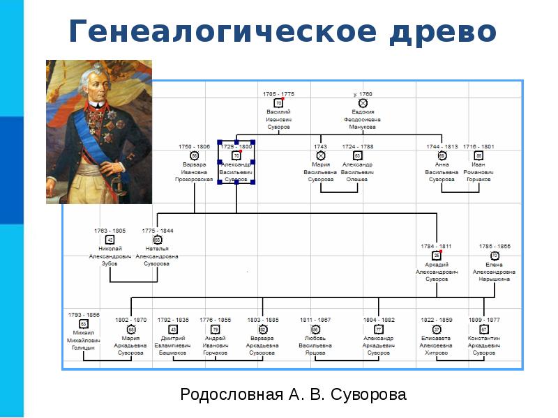 Информационную модель родословной часто представляют в виде таблицы сети плана дерева