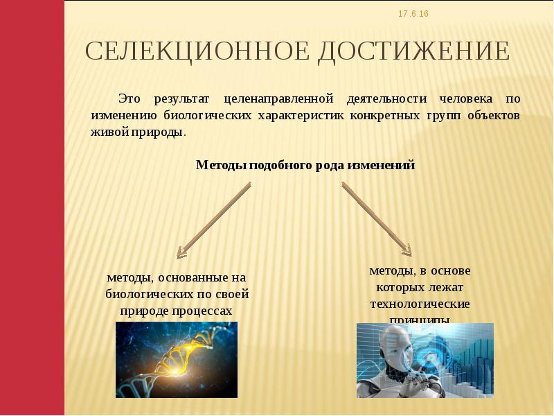 Результаты селекционной деятельности селекционные достижения