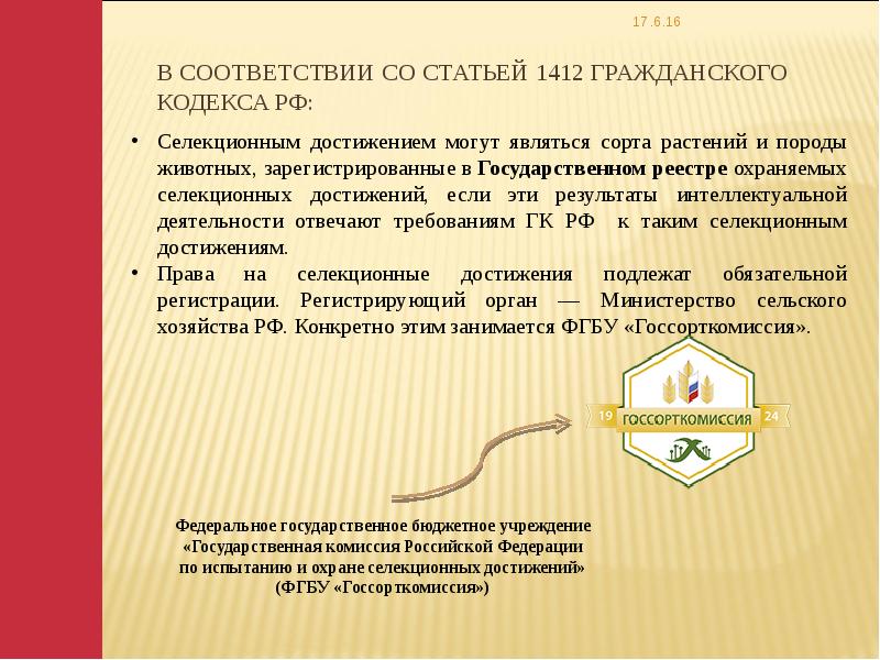 В соответствии или в соответствие. В соответствии со статьей. В соответствии со статьей или с статьей. В соответствии со ст.ст. Привести в соответствие со статьей.