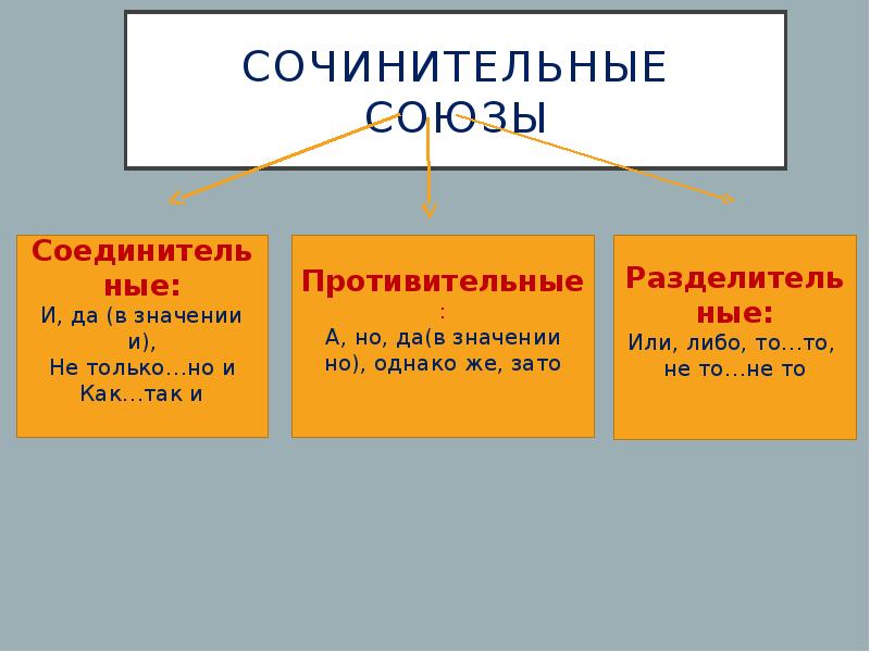 Где на схеме предложения располагается сочинительный союз