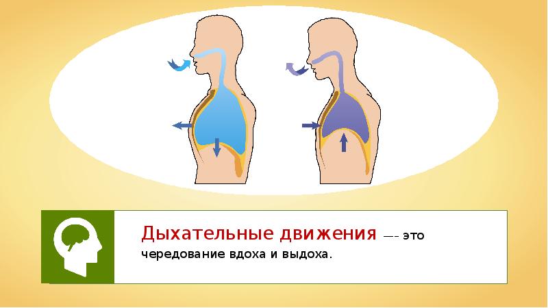 Картинки измерения чдд